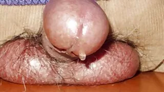 Cu fete live sex o pula pietrificata isi fute pizda cu gura căscată