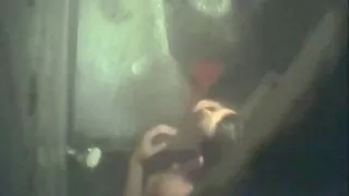 Plictisit Bruneta cu pasiune sex cu degetul acasă pizde fete sexi 18