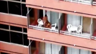 Suge ascuțite cocoș pe sex cu fete virgine genunchi în cameră
